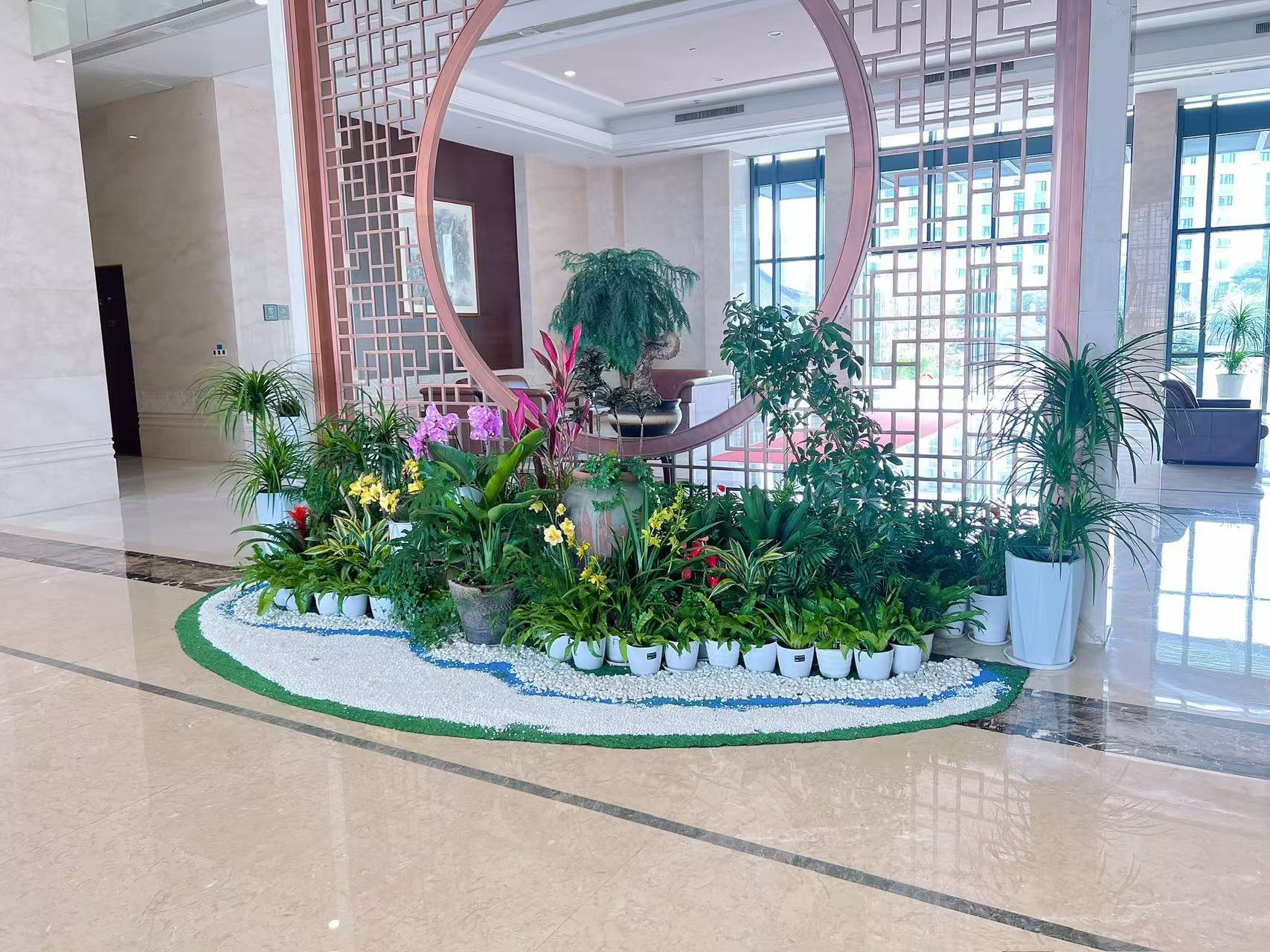 宁波前湾植物租摆哪家好