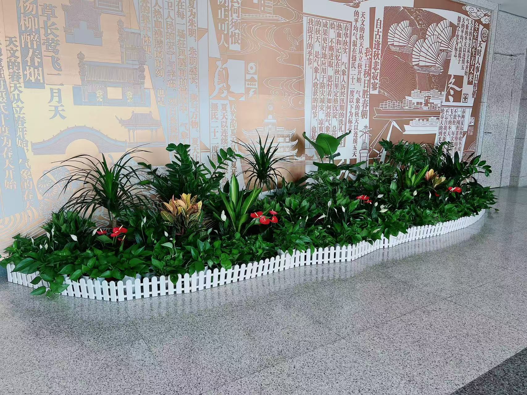 寻觅优质花木租赁？鄞州这里有惊喜！